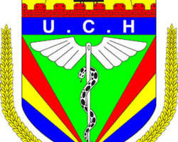 UCH Logo